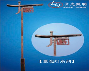 甘肅雙頭市電景觀燈